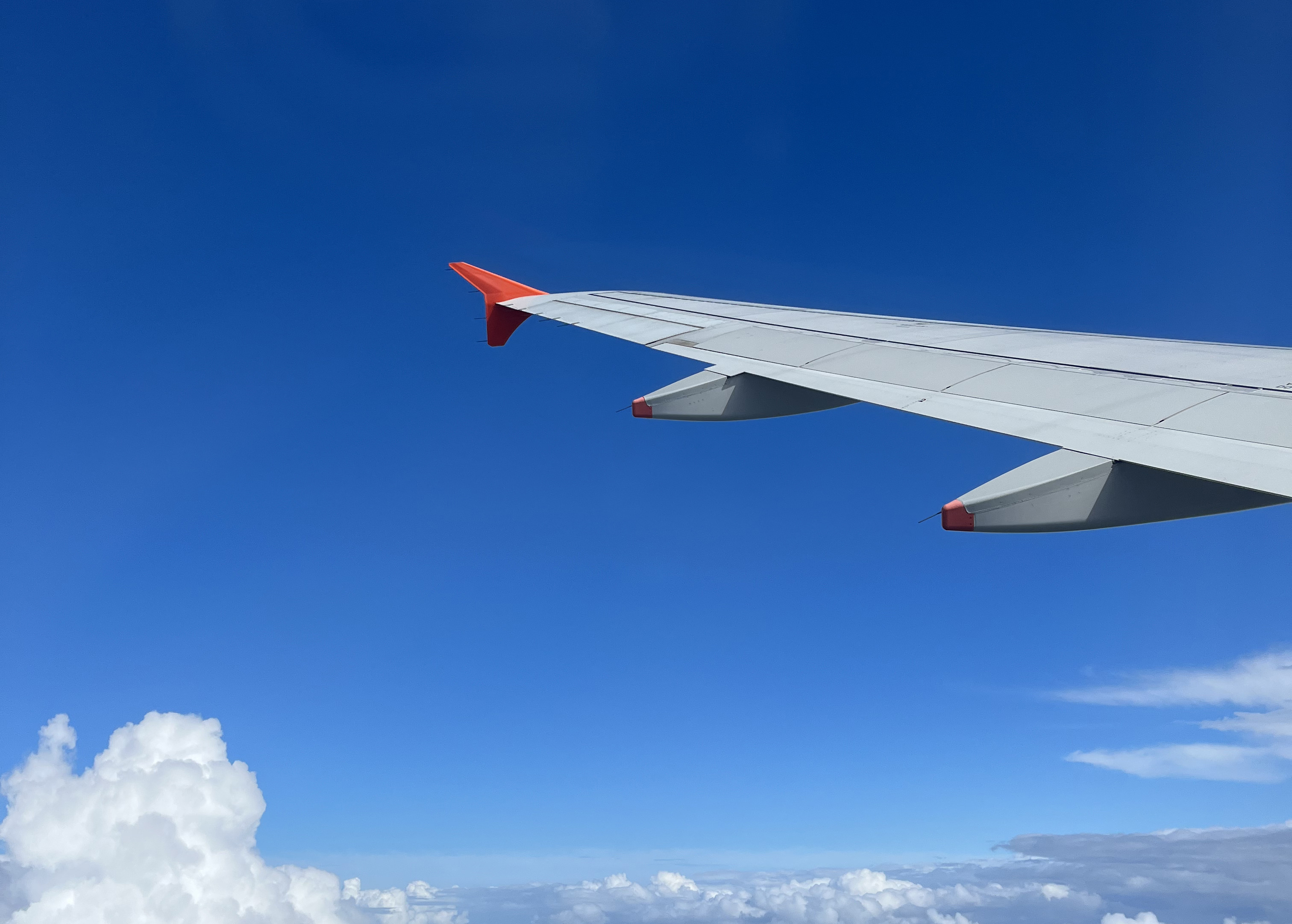 香川 - Ruri Kojima