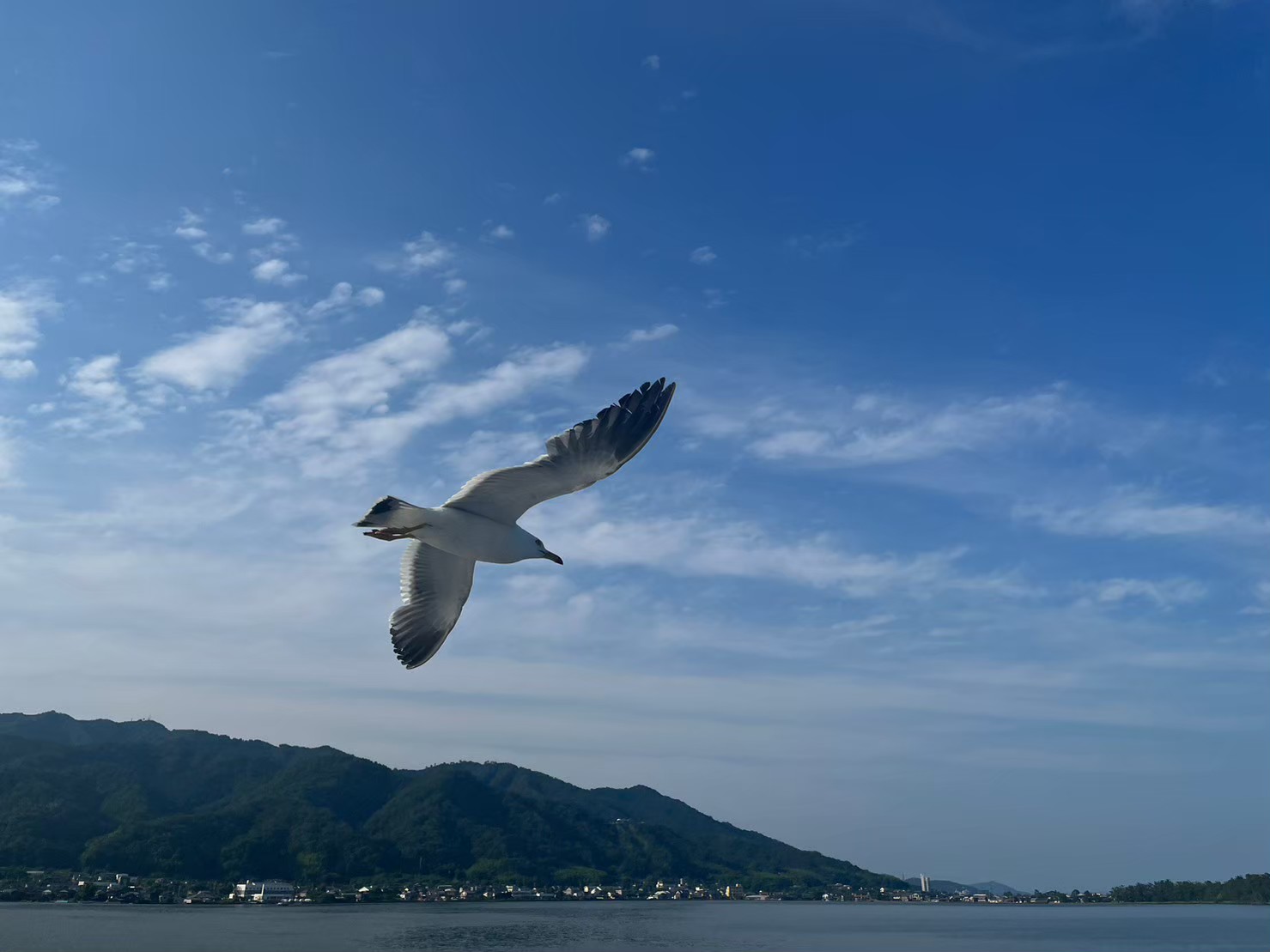 京都 - Koki Ugajin