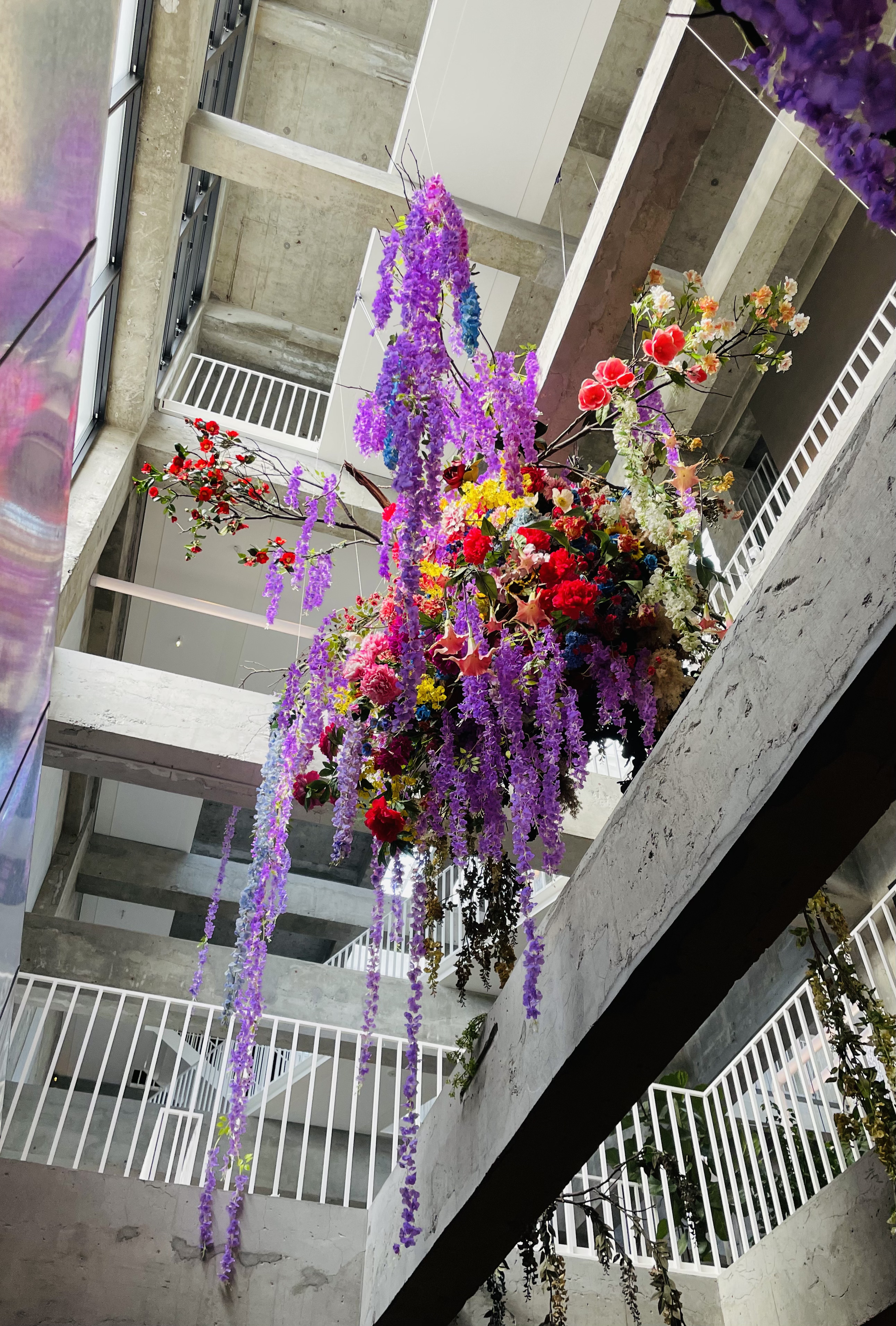  前橋 - Nozomi Tsuchimoto