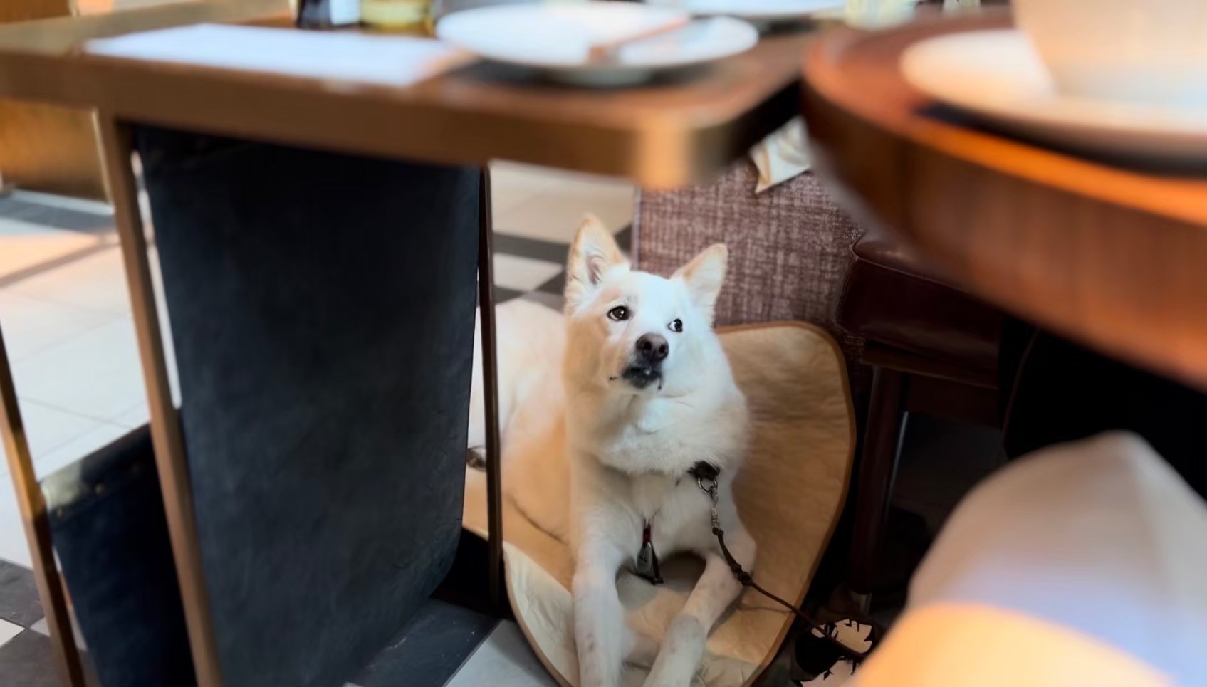 三重 - Yuji Uehara