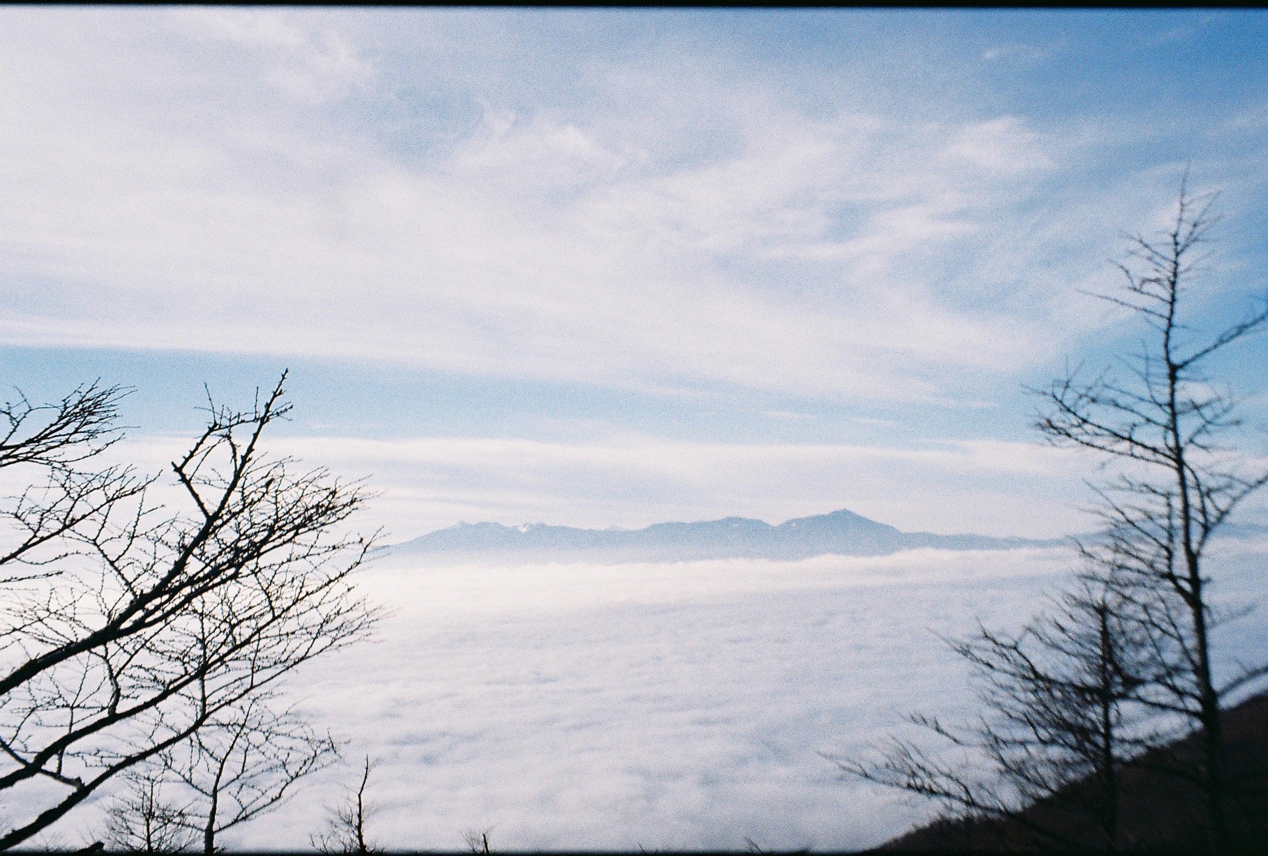 長野 - Saori Okubo