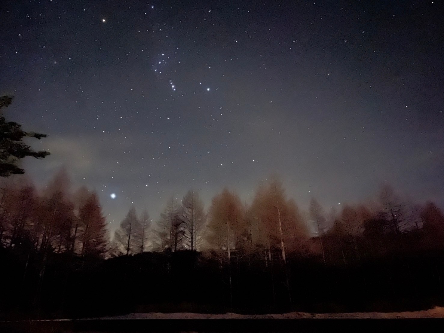 長野 - Saori Okubo