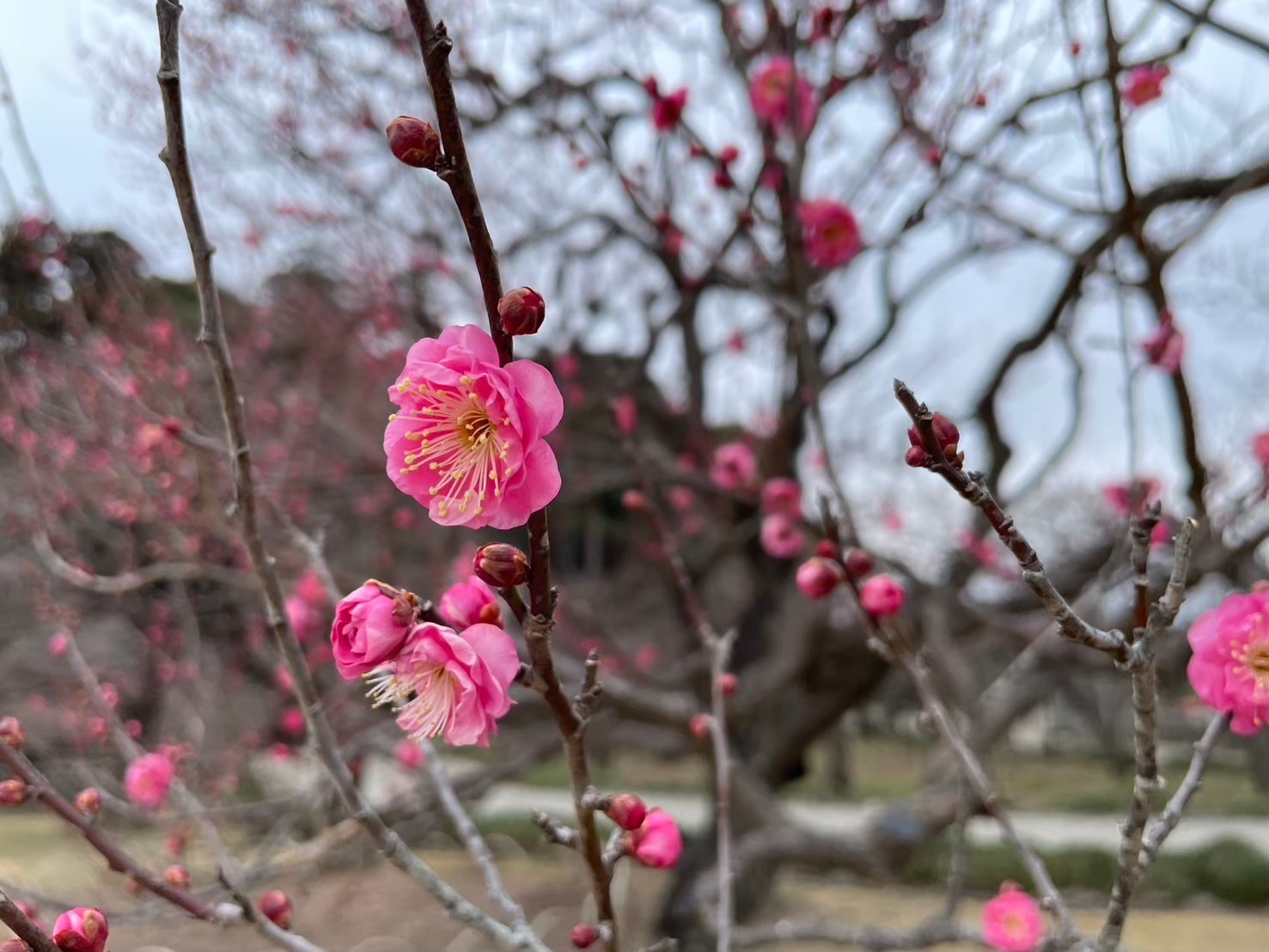土浦 - Aki Kaihori