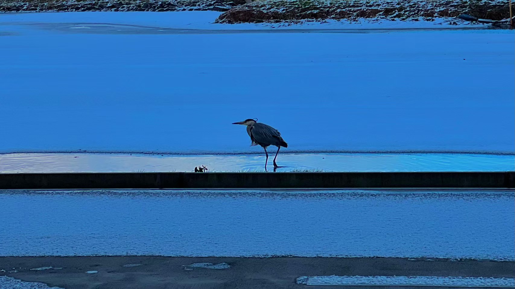 山形 - Yuji Uehara