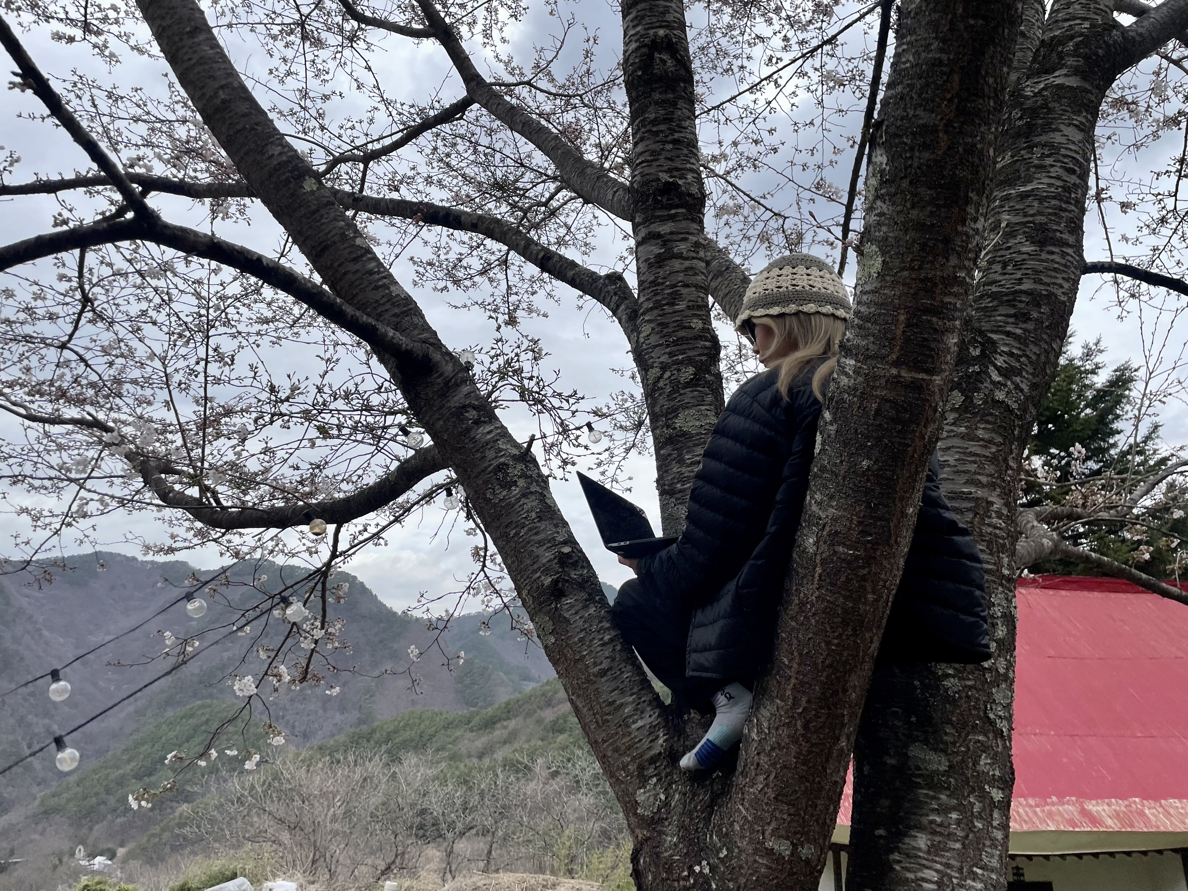 山梨 - Saori Okubo